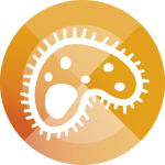 NSQHS Healthcare assosciated infections logo