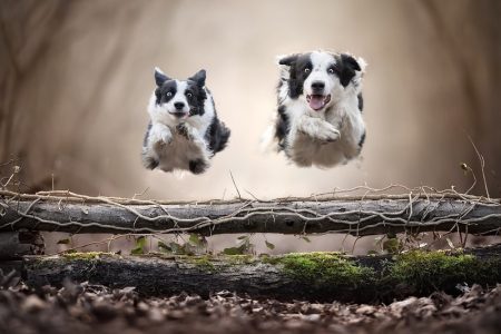 jumping