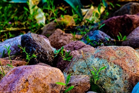 stones stones