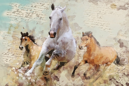 stampede