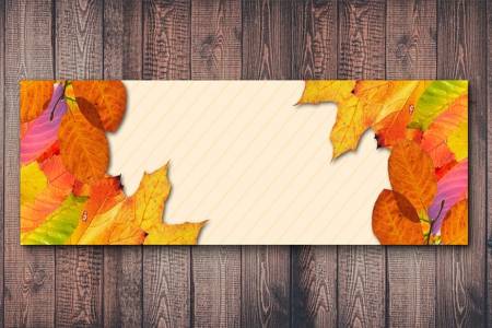 autumn (1)