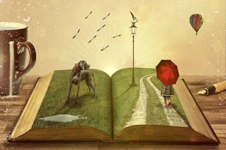 Library Lovers