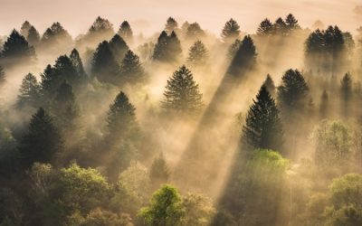 AEBPLI 2026: A Fresh Chapter in EBP Learning (Online, Thursdays, 19 Oct – 23 Nov)